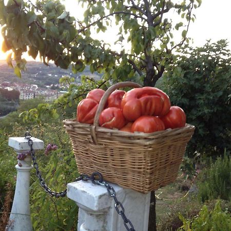 הוילה אובאדה Il Borgo Delle Grazie מראה חיצוני תמונה